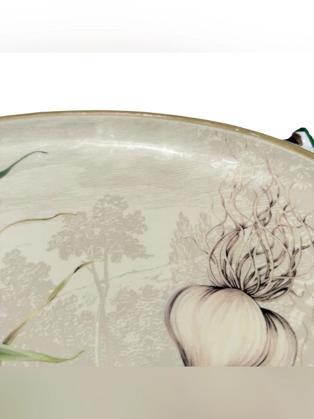 Williams Sonoma Garlic Serving Platter Portugal Oval Ceramic Farmhouse Kitchen